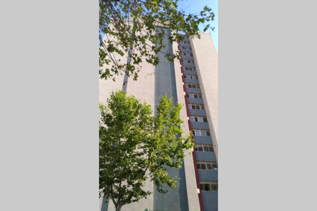 Apartamento Moderno 베니돔 외부 사진